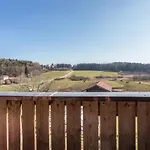 Parzinger 아파트 *